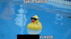 Splish Splash Meme Template