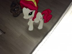 MLP is real! Meme Template