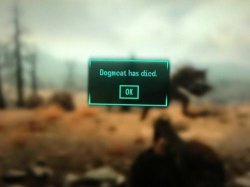 Fallout dogmeat has died Meme Template