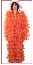 Orange Feather Dress Meme Template