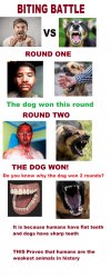 humans vs dogs Meme Template