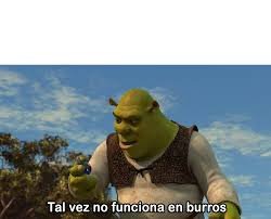 Tal vez no funciona en burros Meme Template