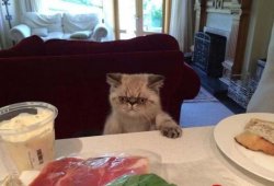 WHERE'S MAH SUPPER Meme Template