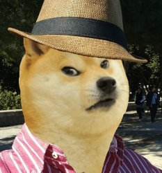 manuel doge angry Meme Template