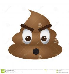 poop emoji Meme Template