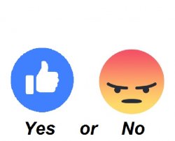 Survey Meme Template