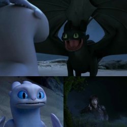 toothless and light fury Meme Template