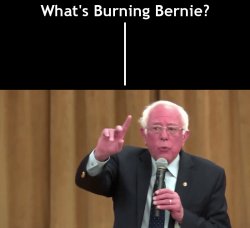 What's Burning Bernie Meme Template