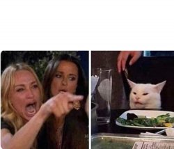 Lady screams at cat Meme Template