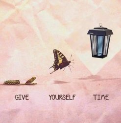 Give yourself time butterfly Meme Template
