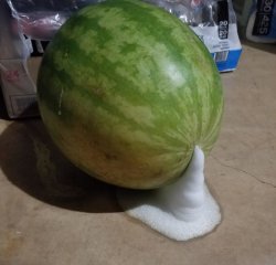 Foaming watermelon Meme Template