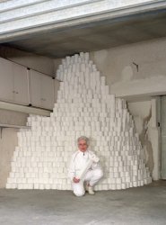 mountain of toilet paper Meme Template