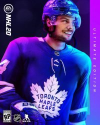 EA Sports NHL 20 Meme Template