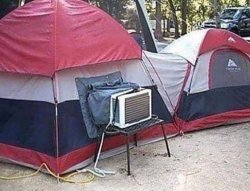AC TENT Meme Template
