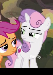 Sexay pose! Meme Template
