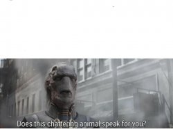 does this chattering animal speak for you Meme Template