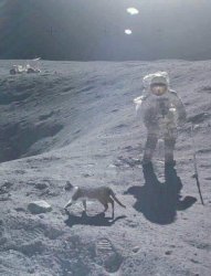 cat on the moon Meme Template