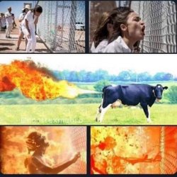 Ocasional Cortex AOC Meme Template