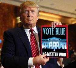 Vote Blue No Matter Who Meme Template