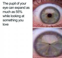 Eye pupil expansion Meme Template