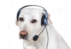 Dog Telemarketing Meme Template