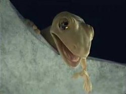 Ceiling Lizard Meme Template