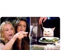 Women upset at cat Meme Template
