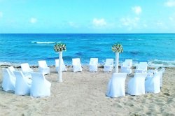 Florida Beach Wedding - 2019 Meme Template