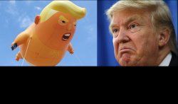 Trump vs Trump Baby Blimp Meme Template