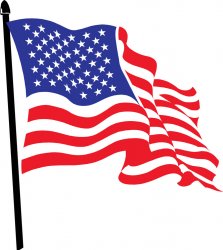 US flag Meme Template
