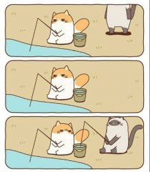 Annoyed Fishing Cat Meme Template