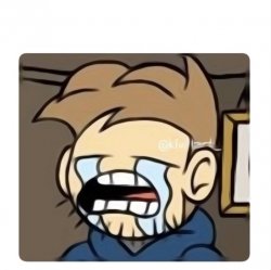 Crying Tom Meme Template