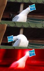 Inhaling Seagull Hasbro Meme Template