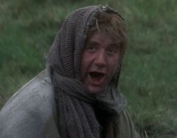 Monty Python and the Holy Grail - Dennis the peasant Meme Template