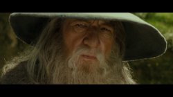 Gandalf Meme Template