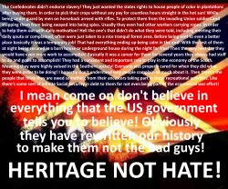 Rebel Confederate Flag Heritage Not Hate Meme Template