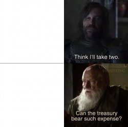 can the treasury bear such expense Meme Template