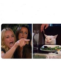 Woman and cat Meme Template