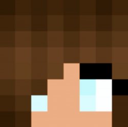 My girlfriend's Minecraft skin Meme Template