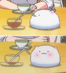 Little Kitty Big Sip Meme Template