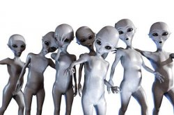 Me n the boys after area 51 Meme Template