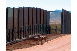 Jumping the border for greener pastures Meme Template