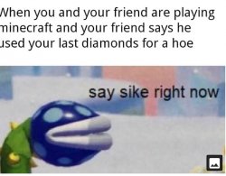 SAY SIKE GODDAMN IT Meme Template