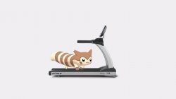 Furret Running On Treadmill Meme Template