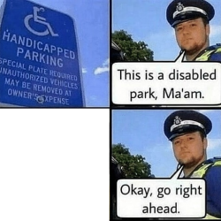 This is a disabled park Meme Template