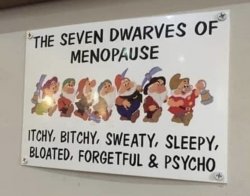 Seven dwarfs Meme Template