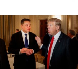 Trump and Elon Musk Meme Template