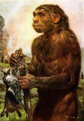 Neanderthal Meme Template