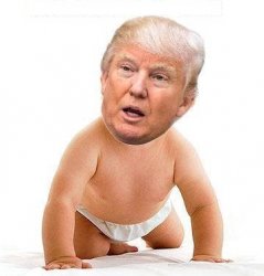 Trump baby diaper Meme Template