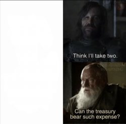 Can the treasury bear such expense Meme Template